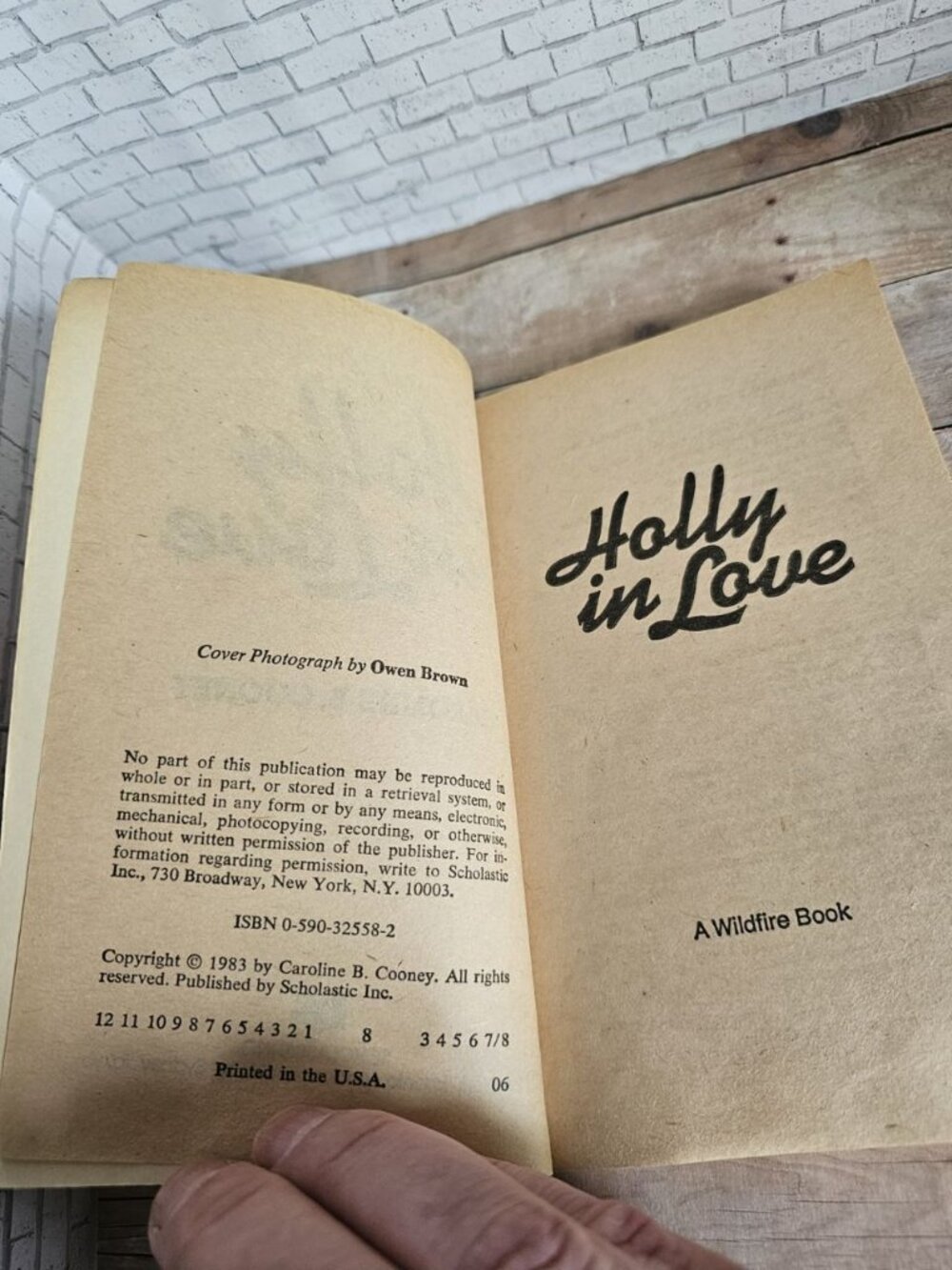 1983 Holly in Love Caroline B Cooney Wildfire YA Romance First Printing - Picture 4 of 4